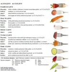 Jídelníček 29.4. - 3.5.2019
